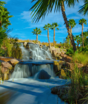 Cascading waterfall with serene palm trees