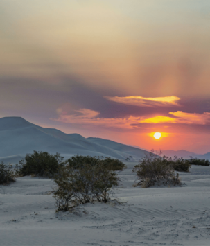 Sunset over a desert sand dune landscape