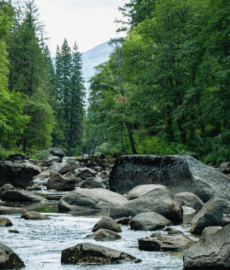 Rocky stream in the forest with mountain in the distance