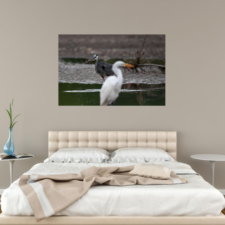 Behind the Glare wildlife wall art