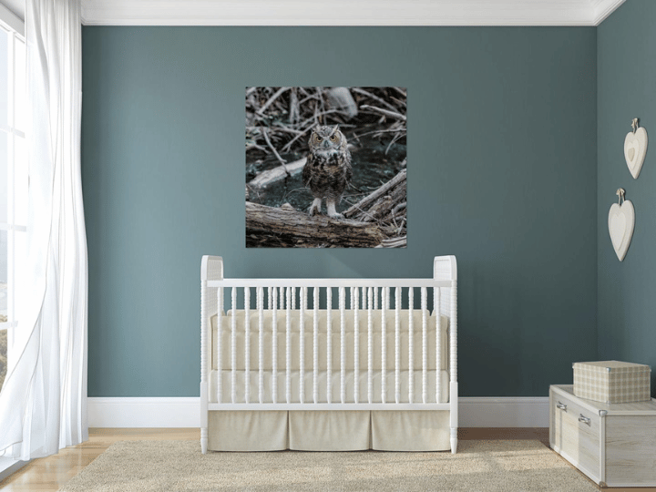 Curious Dawn wildlife wall art