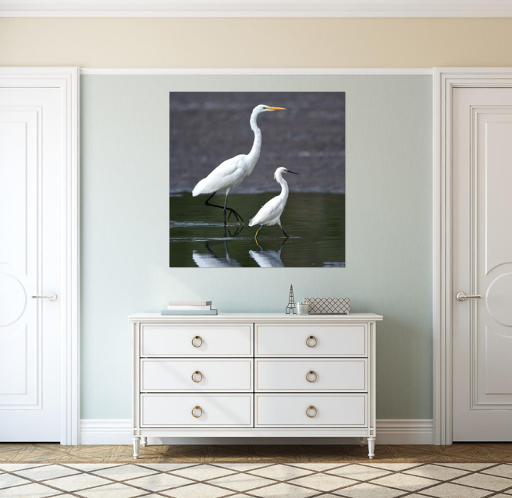 Monarch and Heir wildlife photography wall art