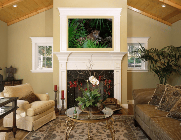 Patient Hunter wildlife wall art