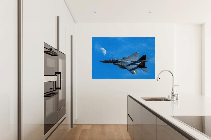 Silent eagle military plane wall art