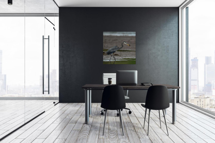 Taken in Silence wildlife photography wall art