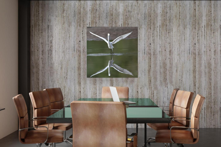 White Monarch wildlife photography wall art